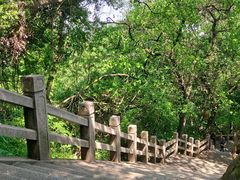 -灵岩山风景区