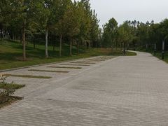 -瀛海足球主题公园