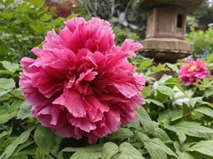 -龙华寺
