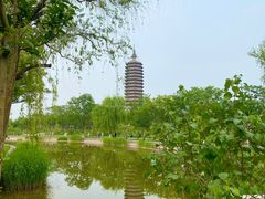 -西海子公园