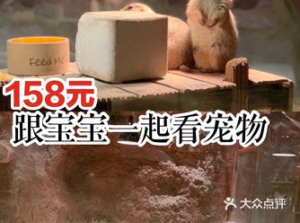 158元带宝贝一起看宠物