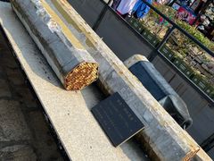 -胡里山炮台