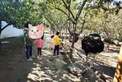 -优沃得自然教育农场·冰雪乐园·生日会·研学