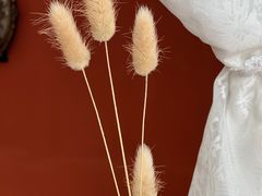 -LuluCake·路鹿蛋糕