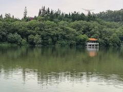 -深圳仙湖植物园
