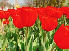 -玄武湖景区-情侣园游乐场