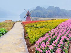 -广州市石门国家森林公园