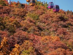 -周口店坡峰岭风景区
