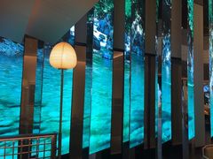 -桂满陇·海市蜃楼·黑金(国金店)