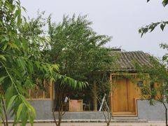 -春风习习
