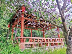 -广州莲花山旅游区