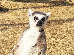 -杭州野生动物世界