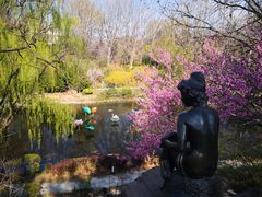 -棒棰岛宾馆景区