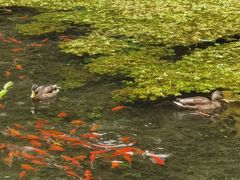 -水磨沟公园