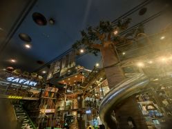 -卡通尼·Safari非洲探索乐园·生日会(金桥国际商业广场店)