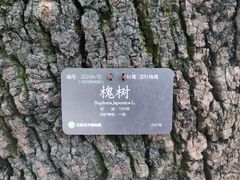 -石家庄市植物园
