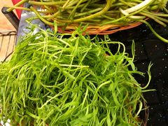 相思菜-香丽缘饭馆(黑龙潭店)