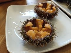 -海胆小馆(东北水饺·春柳店)