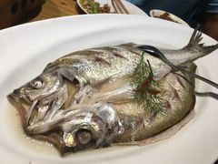 -香浙汇(望京店)