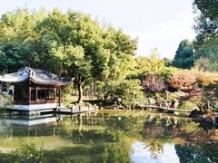 -汇龙潭
