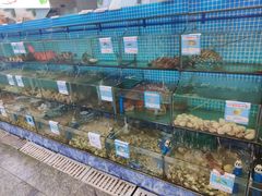 水产区-范饭椰林川湘味海鲜·椰子鸡(三亚湾椰梦长廊店)