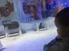 -芜湖新华联大白鲸海洋公园