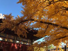 -红螺寺