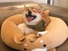 -五条人糖水铺(凯德天府店)