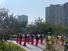 -四海公园(南山区)