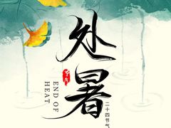 -和创柚子·会席日本料理(新区淮海街店)