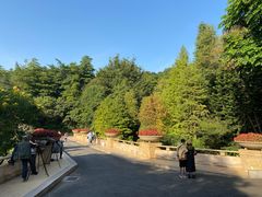 -云溪植物园