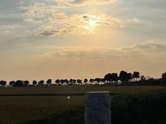 -七的湖·晚芳亭·阳澄湖农家菜·大闸蟹(莲花岛店)