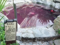-黄金海岸水上乐园