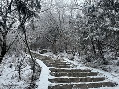 -香山公园