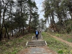 -青龙山国家森林公园