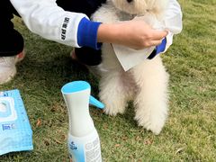 -上海神旺大酒店