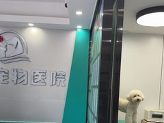 -博特宠物医院24h犬猫全科.骨科·异宠