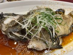 -东方之珠海鲜酒楼(南开店)