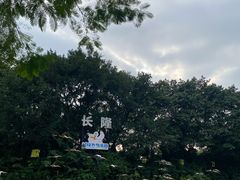 -广州长隆飞鸟乐园