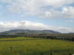 -光明小镇欢乐田园
