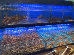 -透明思烤·自助烤肉海鲜火锅(东部星悦天地店)