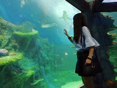 -悉尼海洋生物水族馆