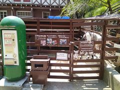 -神户市立六甲山牧场