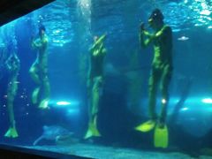 android_upload_pic-南昌海洋公园