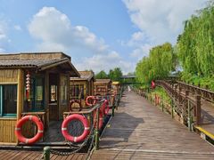 -泗洪洪泽湖湿地景区