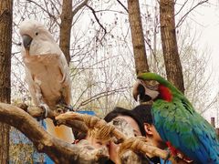 -北京野生动物园