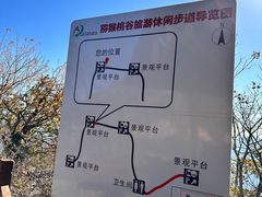 -大岭沟猕猴桃谷风景区
