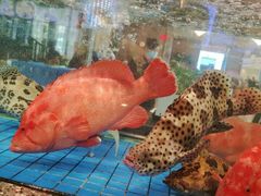 -聚福宝合苑食府(南头镇店)