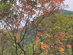 -北京十三陵国家森林公园蟒山景区