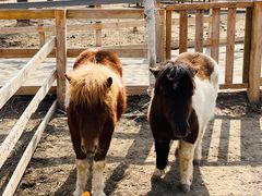 -水上乐园·欢乐世界